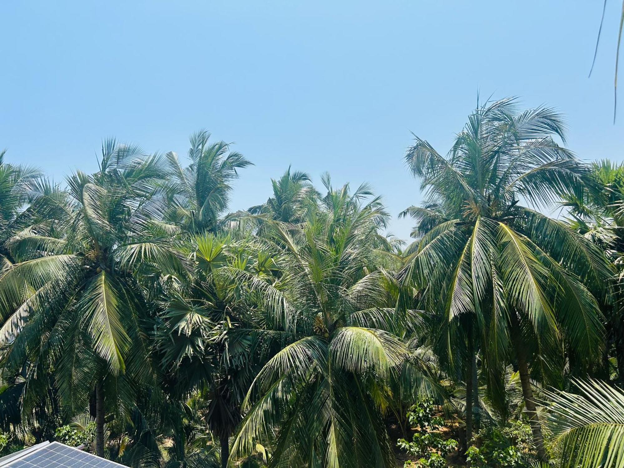 Pearl Bungalow Trincomalee Exterior photo
